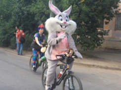 Человек-паук на самокате и веселый кролик на велосипеде покорили волжан в центре города