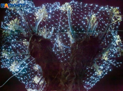 Звезды предупреждают волжан, что не все средства хороши: астрологический прогноз