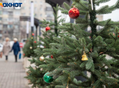 +4 градуса и дождь: погода в Волжском