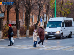 В Волжском начался тщательный контроль за маршрутчиками: 25 водителей проигнорировали ПДД