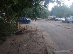 Водителя, снесшего дерево во дворе многоэтажки в Волжском, увезли на «скорой»
