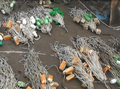 Под Волгоградом браконьеры выловили 156 кг рыбы осетровых и частиковых пород 