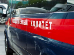 Под Волгоградом сын расчленил тело убитого им отца