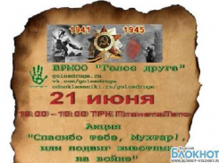 В Волжском состоится благотворительная акция в помощь бездомным животным