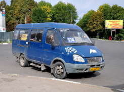 Водители маршруток №164 и №174 объявили забастовку