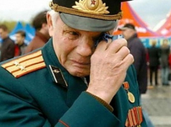 3700 ветеранов: мэрия Волжского просит помочь участникам войны