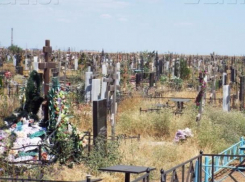 У братской могилы на старом кладбище ходят мертвые солдаты, - волжанка