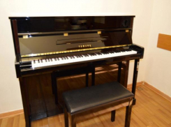 В Волжскую музыкальную школу №3 завершается поставка инструментов