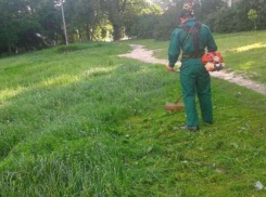На покос травы в Волжском выделено пять миллионов