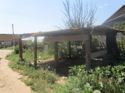 Трехлетнему Кириллу и его трем сестричкам не на чем спать - многодетной семье требуется помощь неравнодушных волжан