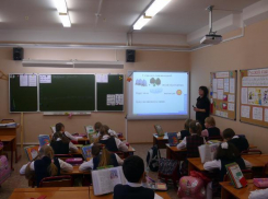 Волжанам предстоит выбрать школьный курс