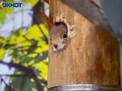 Примите себя, и день принесет удачу: гороскоп на 6 мая