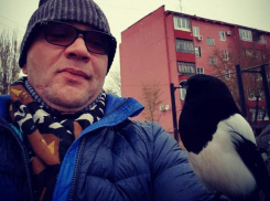 Гостя из Дубая поразила ручная сорока в Волжском