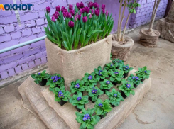 В Волжском молодой человек унес из кафе фотозону за 8000 рублей