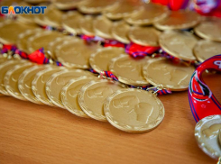 Рукопашники из Волжского завоевали 13 медалей на межрегиональном турнире