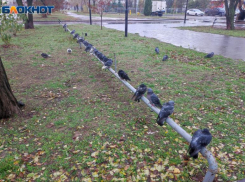 Дождь и заморозки ждут волжан во вторник: прогноз погоды