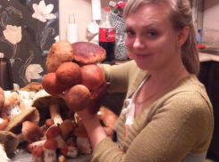 Белый гриб весом больше килограмма и «море» подосиновиков: где волжские грибники собрали такие трофеи