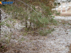 В Волжском потеплеет до -2 градусов: погода