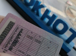 Паспорта больше не нужны: правительство поддержало законопроект об упрощении идентификации