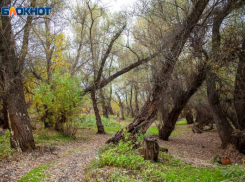 Волжане получат разрешение на отстрел сурков  