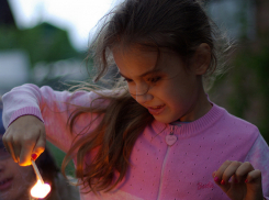 Детская шалость стала причиной крупного пожара под Волгоградом 