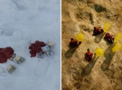 Сырое мясо, деньги и питье: в Волжском на улицах проводят пугающие шаманские ритуалы 