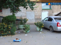 В большинстве дворов Волжского царит беспорядок
