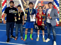 Волжские кикбоксеры завоевали восемь золотых наград Кубка Сталинграда
