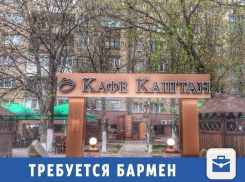 Совершеннолетнего бармена примут на работу