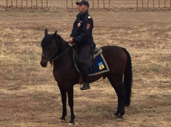 Принцем на вороном коне, которого объявила в розыск незнакомка, оказался неженатый сержант из Волжского