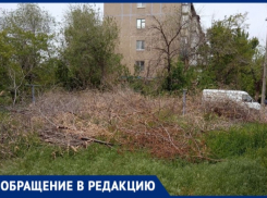 Во дворе не вывозят сухостой уже более 3-х недель: волжане боятся за свои квартиры 