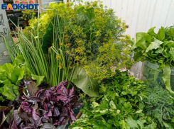 Цены на продукты вторую неделю снижаются в Волжском