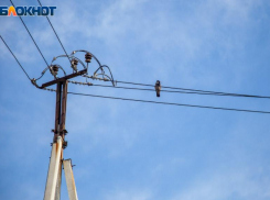 В День крыс в Волжском ожидается солнце: прогноз погоды