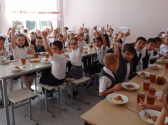 Кто из школьников имеет право на бесплатное питание в Волжском