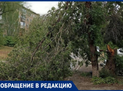 Последствия ночного урагана до сих пор не убрали в Волжском