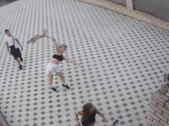 98% опрошенных волжан подписали петицию за реальное наказание для подростков, набивших живот кошки камнями