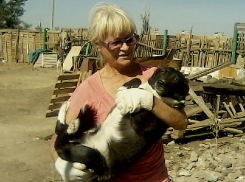 Полсотни собак из приюта, который сносят власти Волжского, могут оказаться на улице 