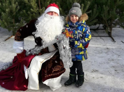 Боги маркетинга: Дед Мороз оригинально продает елку в Волжском