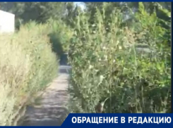 Велодорожки в Волжском оказались бесполезными из-за травы.Видео