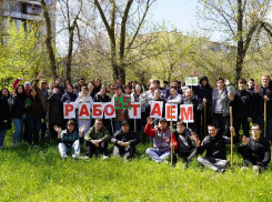 В Волжском появилась аллея из вязов