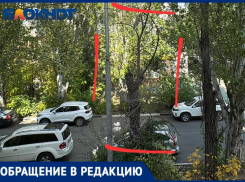 Деревья угрожают безопасности? Волжанин о сухостое на Комсомольской