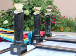 Волжские законотворцы решили, кто в 2022-м будет удостоен городских наград