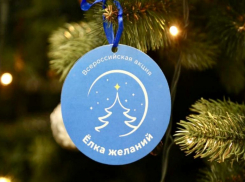 Волжане могут стать добрыми волшебниками в акции «Елка желаний»