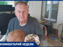  Где в Волжским искать грибы и как не отравиться: советы специалиста