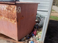 Рассадник мух и тараканов: житель Волжского рассказал о необорудованных мусорных контейнерах