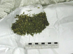 Студент техникума вместе с приятелем пытались наладить в Волжском торговлю марихуаной