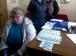 «Ограбившую» саму себя почтальона уволили