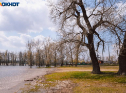 Воскресенье пройдет тепло и солнечно