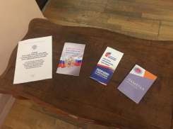 На голосовании 1 июля волжане получат бесплатную ручку 