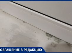 24 баллона с пеной не спасли жительницу Волжского от плесени